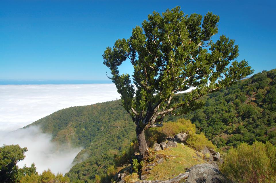 Calheta Foto: 5 van 5
