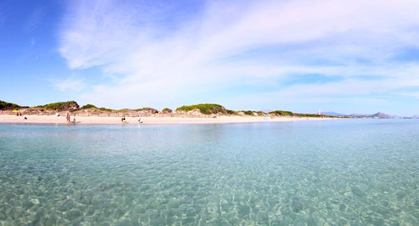 Foto van Playa de Muro