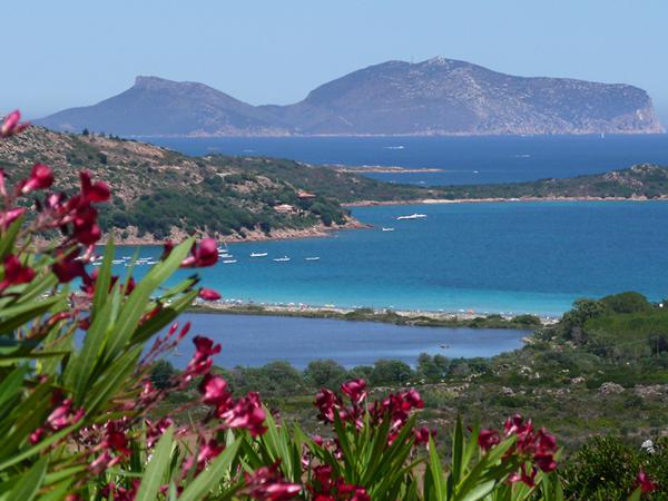 Foto van Baja Sardinia