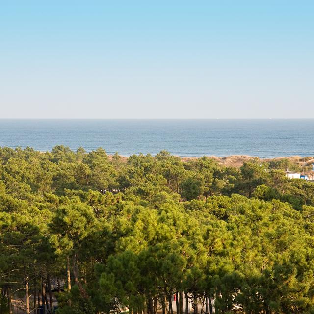 monte-gordo-hotel-spa
