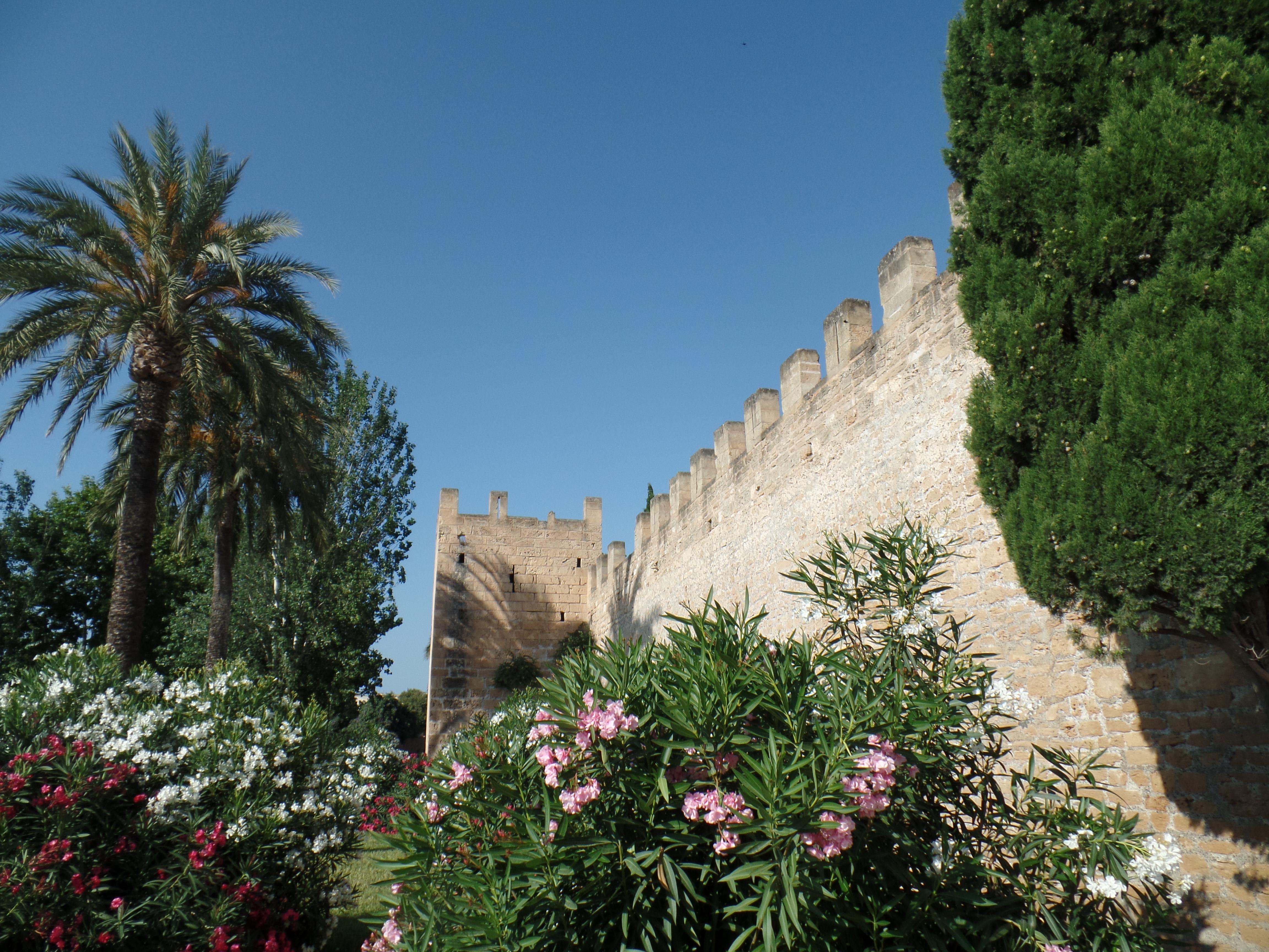 Alcudia Foto: 2 van 12