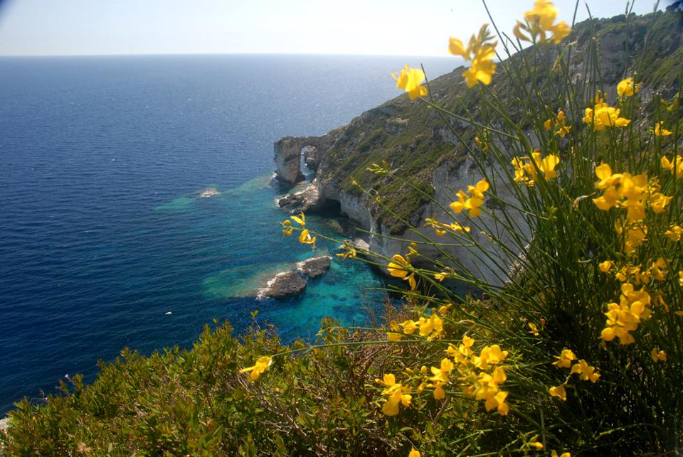 Paxos Foto: 16 van 16