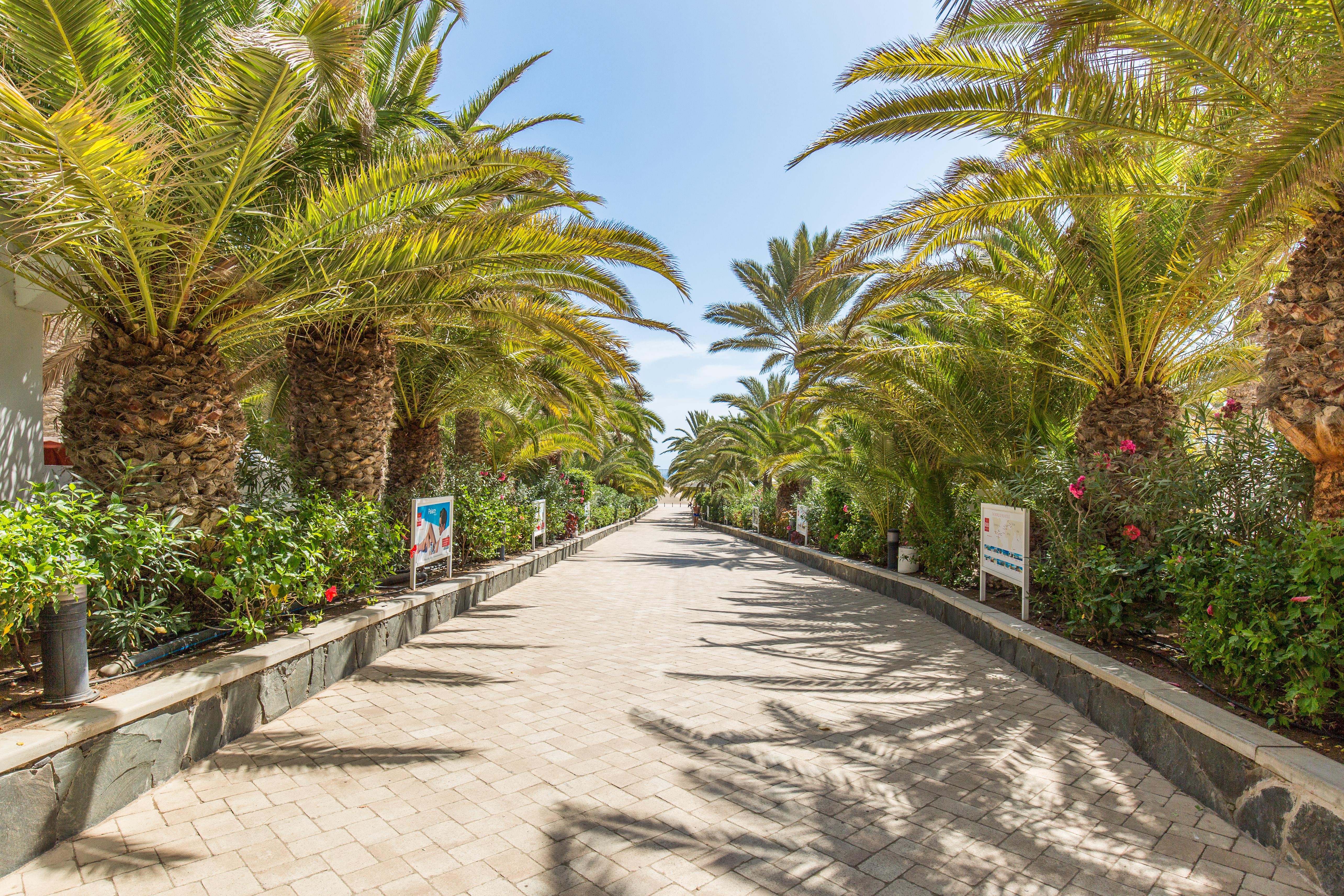 Maspalomas Foto: 6 van 16