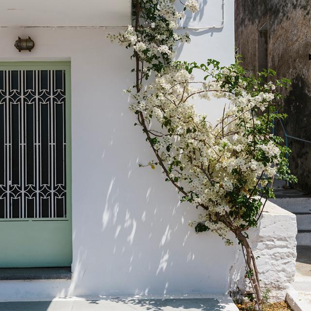 hotel-dimitra