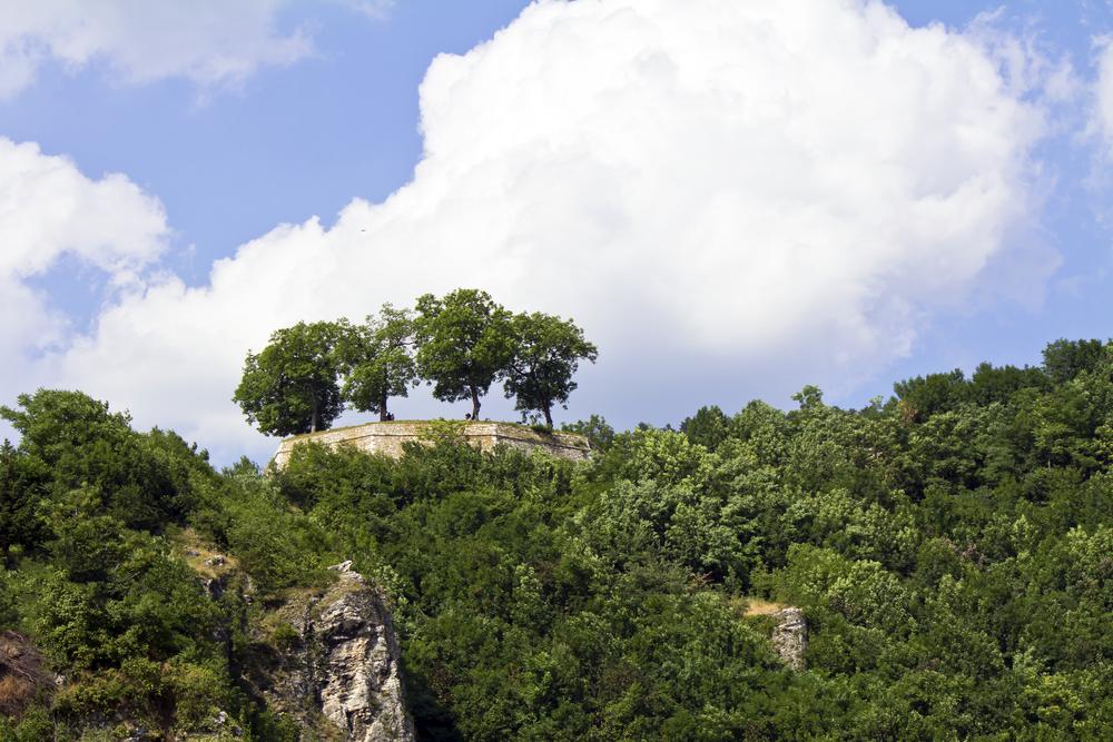 Bijela Foto: 3 van 3