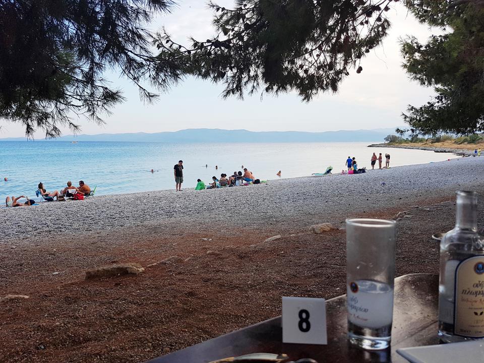 Amarynthos (omgeving Erietra) Foto: 15 van 15