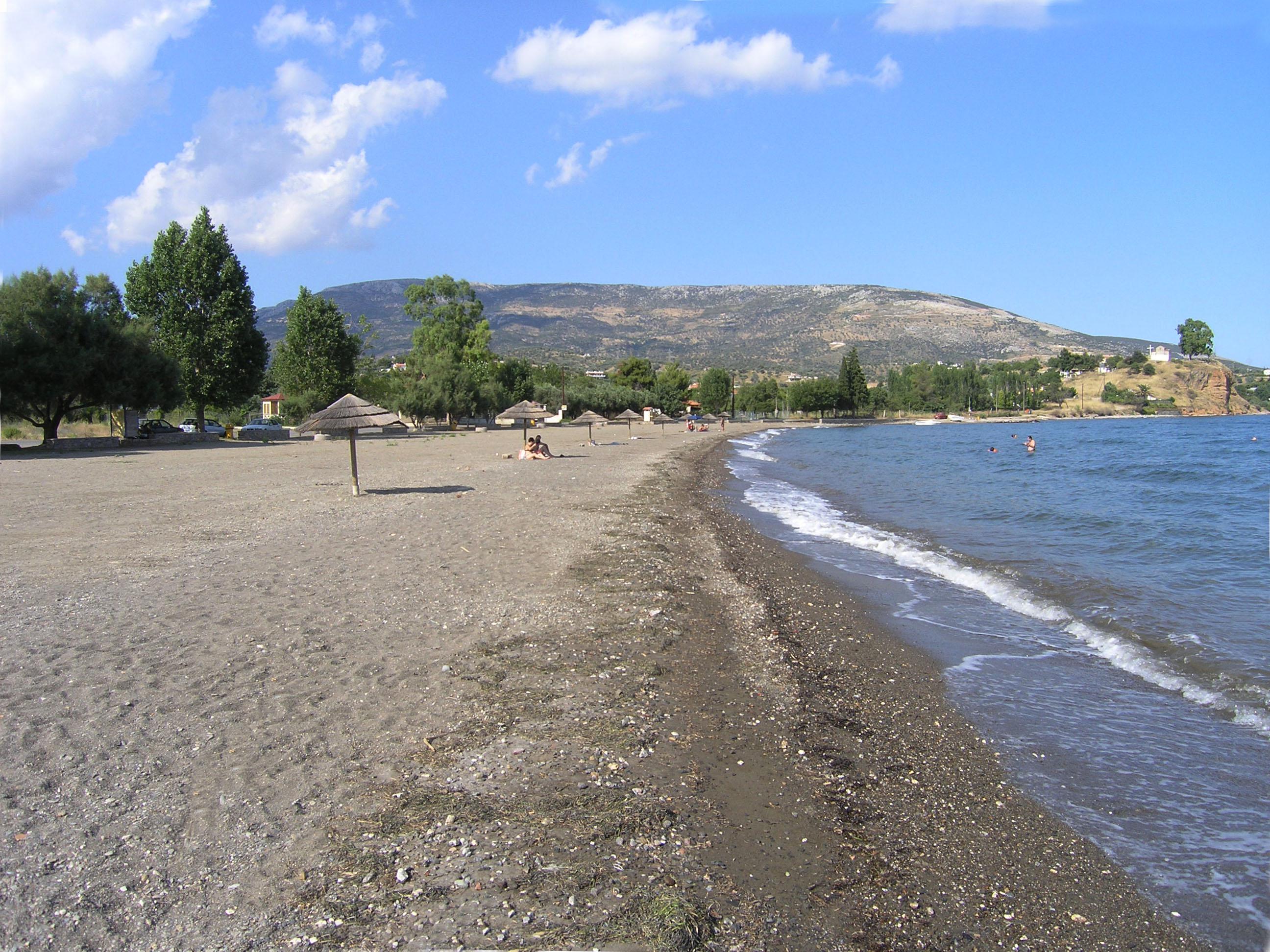 Amarynthos (omgeving Erietra) Foto: 8 van 15