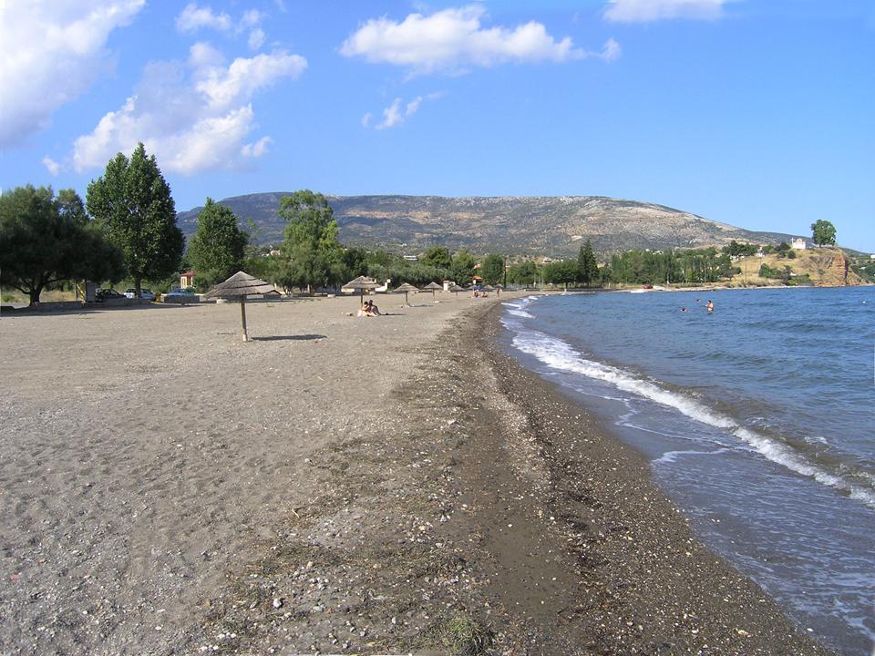 Amarynthos (omgeving Erietra) Foto: 8 van 15