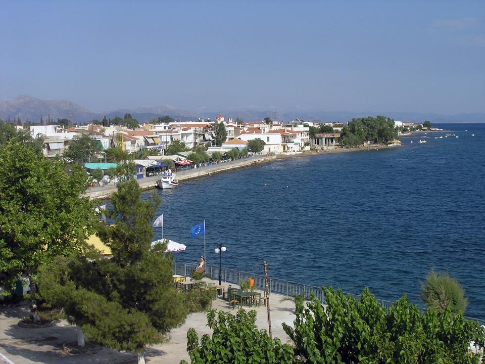 Amarynthos (omgeving Erietra) Foto: 2 van 15