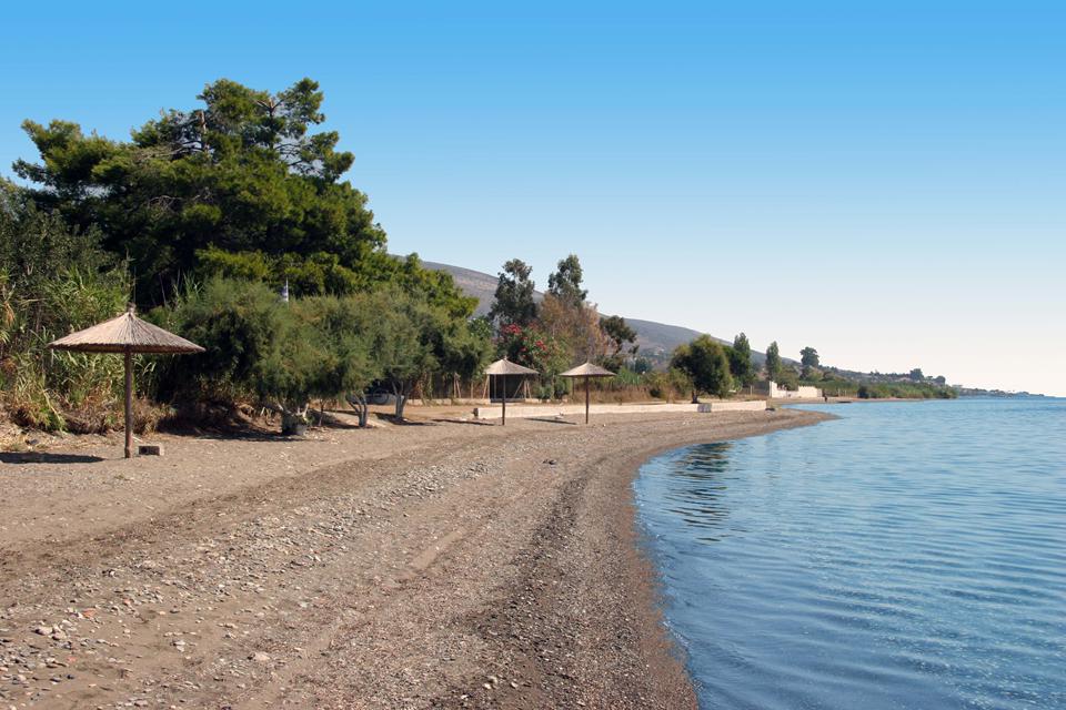Amarynthos (omgeving Erietra) Foto: 4 van 15