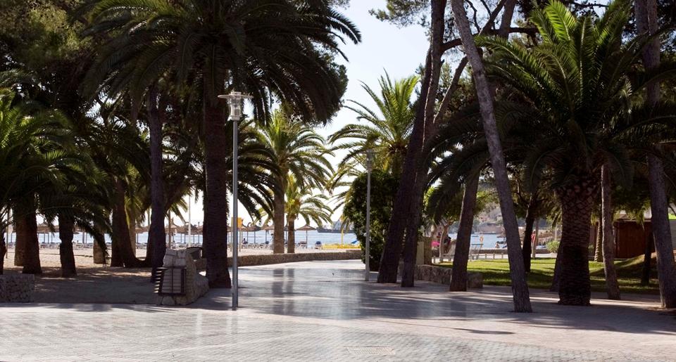 Palma Nova Foto: 5 van 6