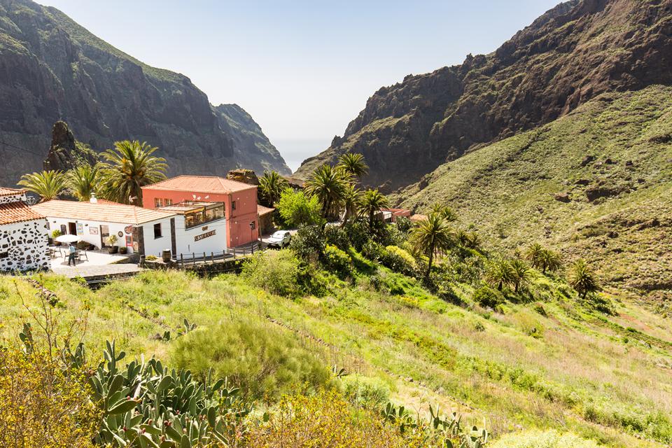 Tenerife Foto: 3 van 37