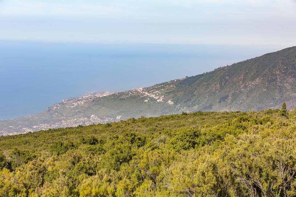 Tenerife Foto: 36 van 37