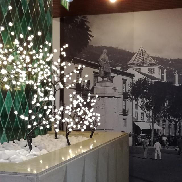 Vakantie Hotel Do Carmo in Funchal (Madeira, Portugal)