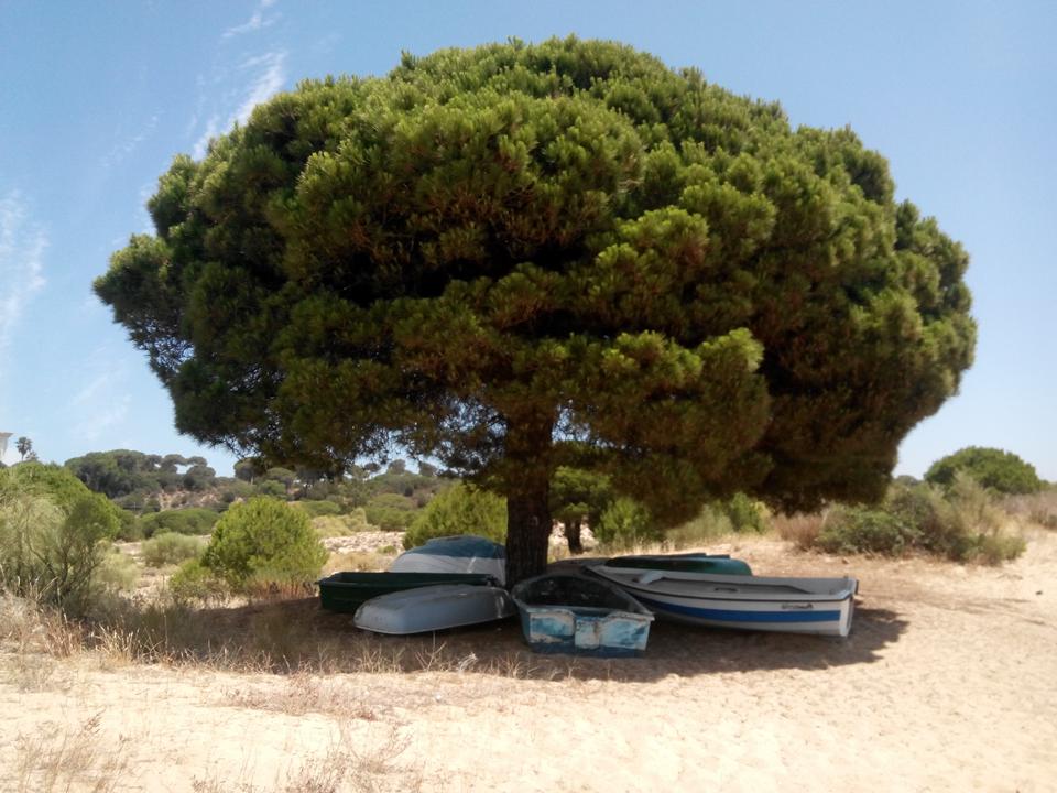 Andalusië - Costa de la Luz Foto: 10 van 11