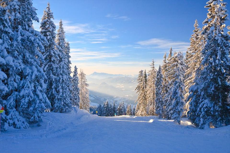 Schladming-Dachstein - Ski Amadé Foto: 2 van 4