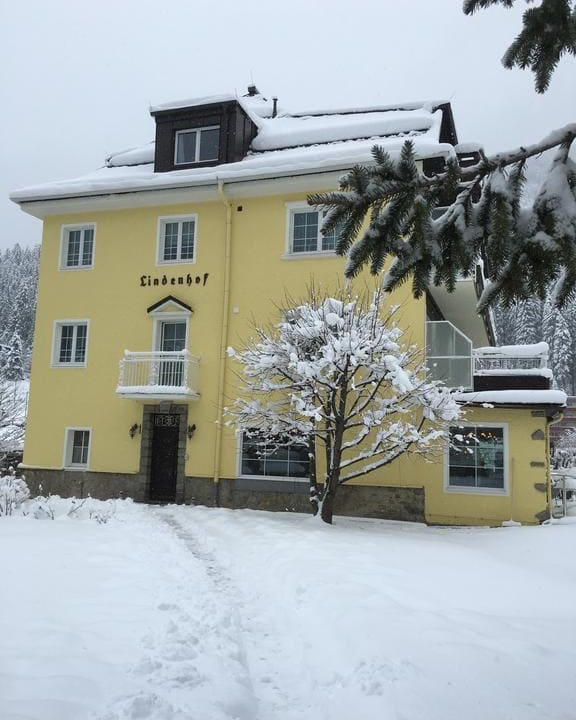 impressie Hotel Lindenhof