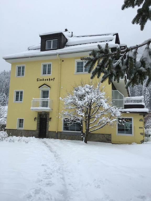 Hotel Lindenhof