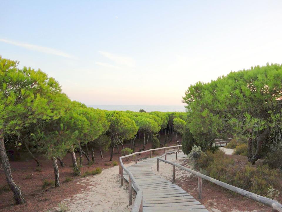 Andalusië - Costa de la Luz Foto: 11 van 11