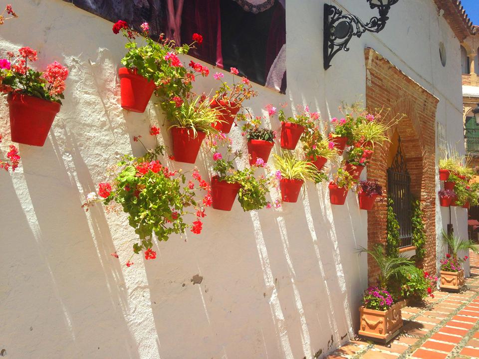 Marbella Foto: 2 van 9