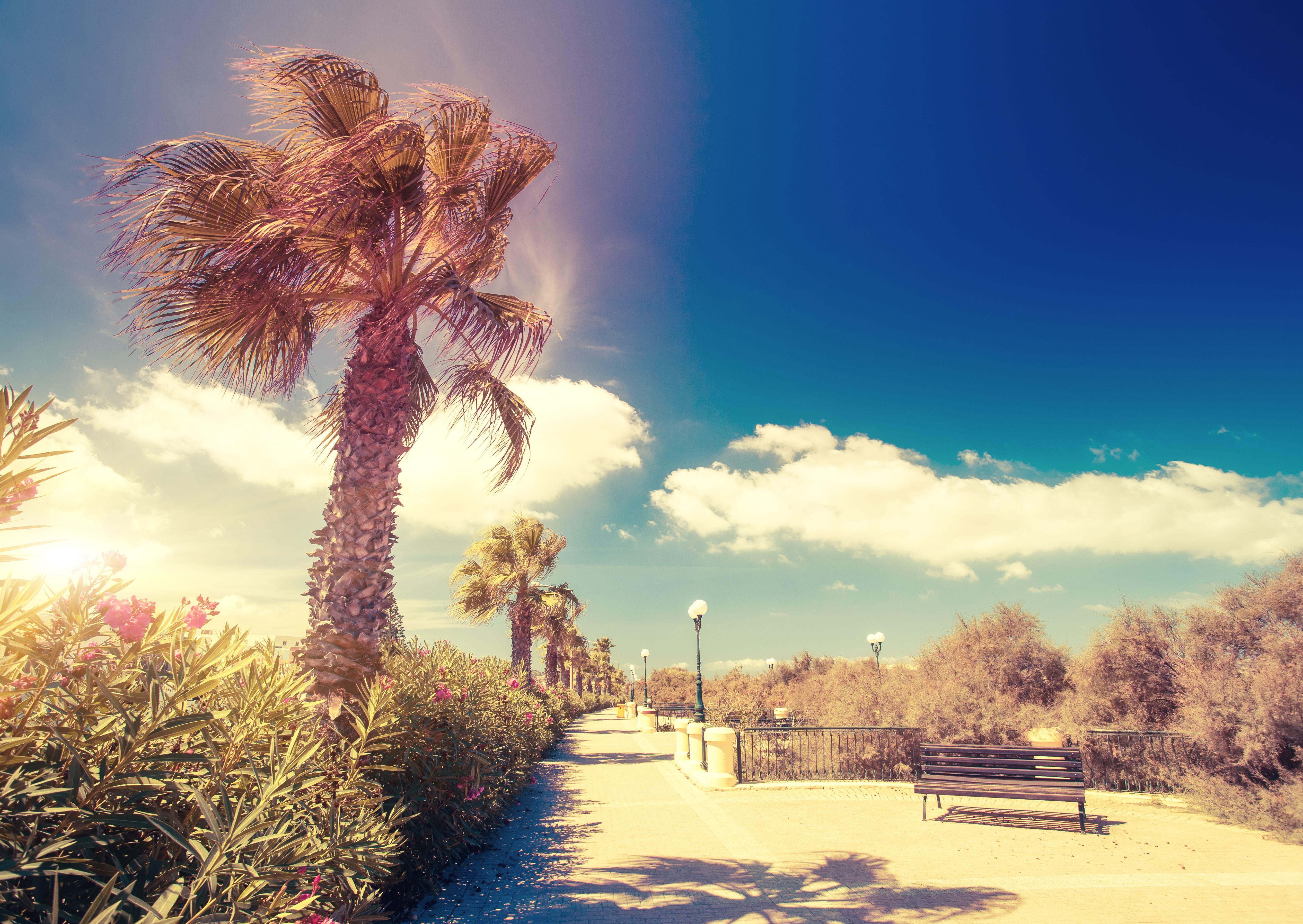 Malta Foto: 9 van 12