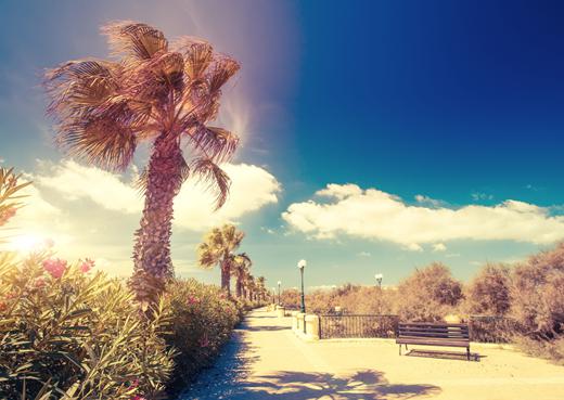 Malta Foto: 9 van 12