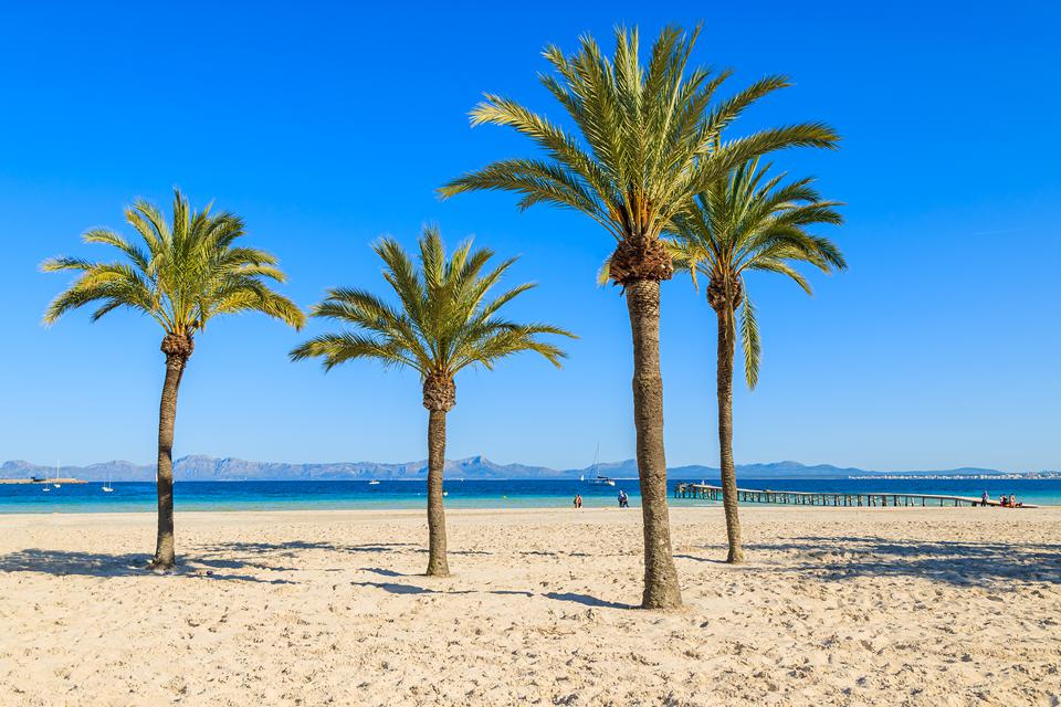 Alcudia Foto: 5 van 12