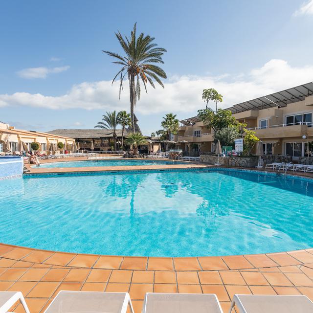 hotel-arena-suite