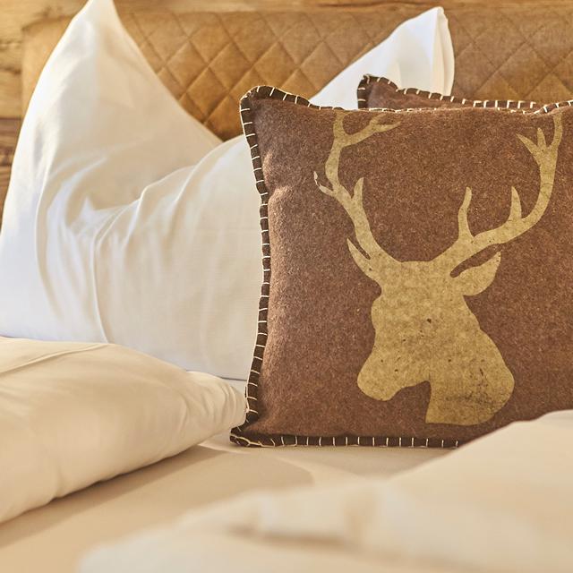 alpenparks-hotel-apartment-sonnleiten