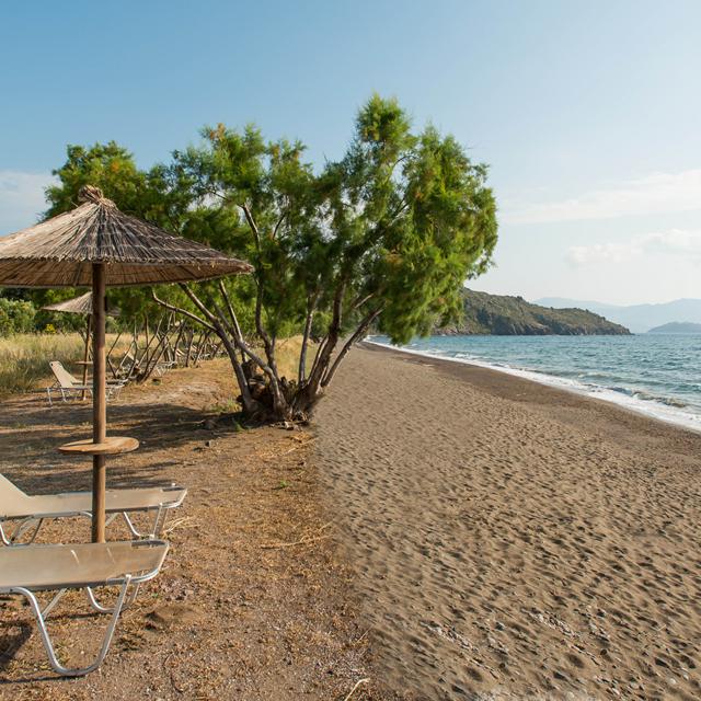 hotel-bungalows-delfinia