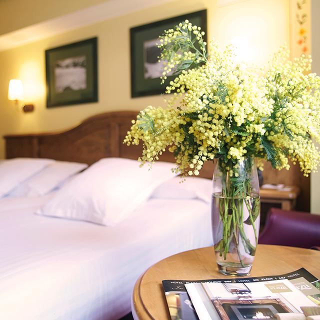 Hotel Ski Plaza in Canillo - foto 6