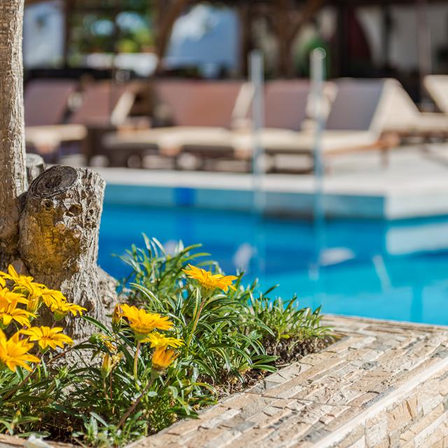hotel-gaia-garden