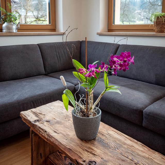 Appartementen Höllwarth - Afbeelding 6
