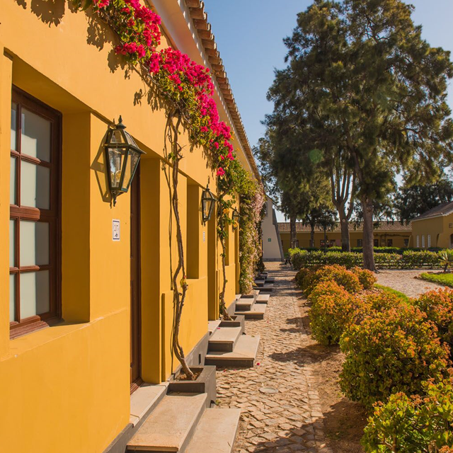 eco-hotel-vila-gale-albacora
