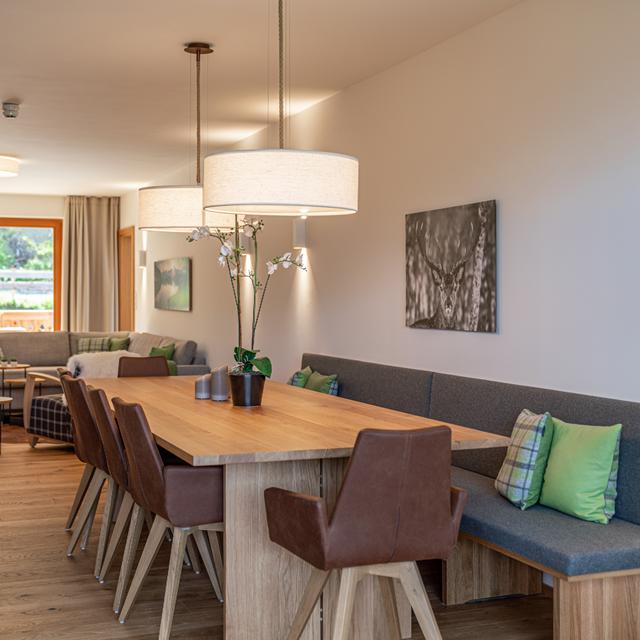 skylodge-alpine-homes