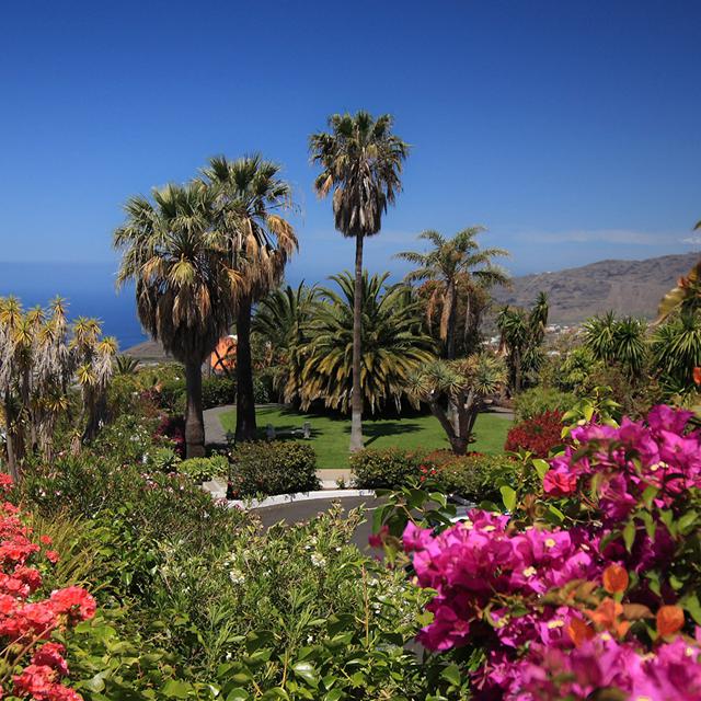 bungalows-palma-jardin