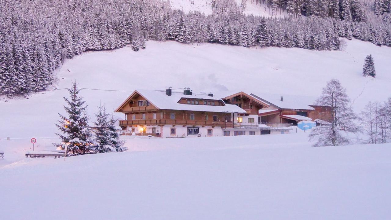 Appartementen Schönachhof
