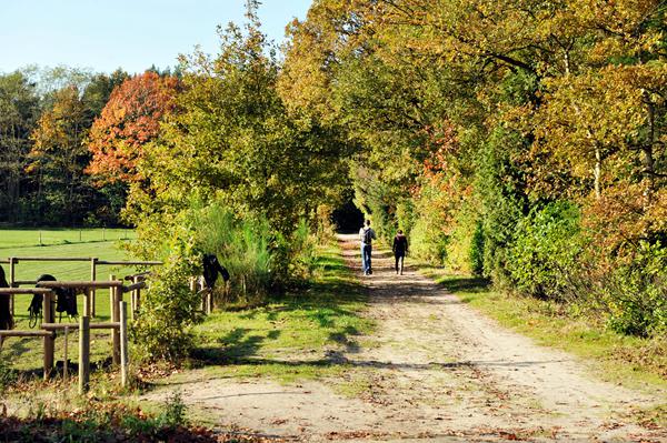 Foto van Noord Brabant