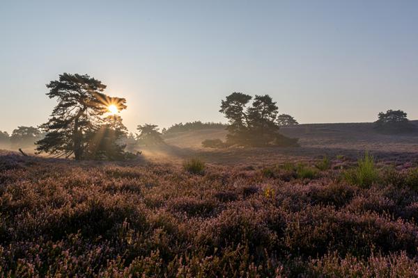 Foto van Brunssum