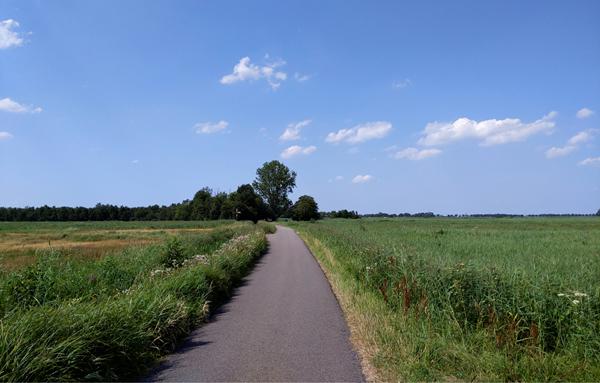 Foto van Paasloo