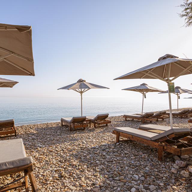 hotel-palm-beach