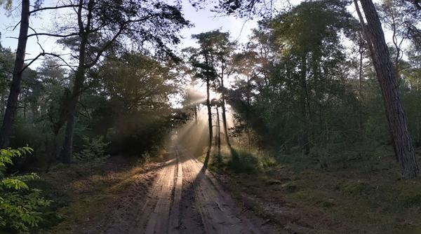 Foto van Hellendoorn