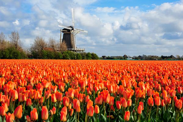 Foto van Julianadorp
