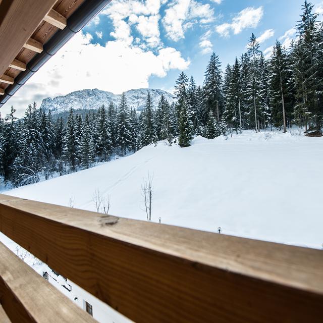 hotel-melodia-del-bosco