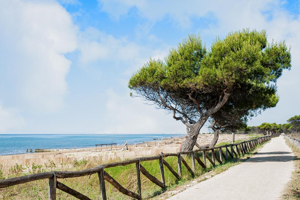 Adriatische Kust  Foto: 3 van 5