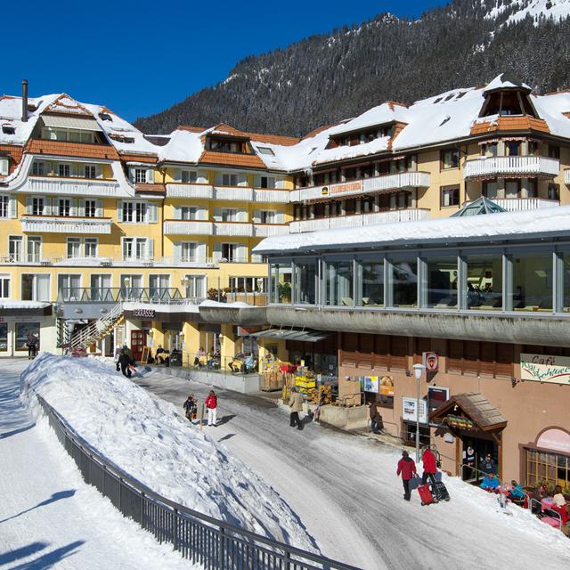 Hotel Silberhorn Hotel Silberhorn