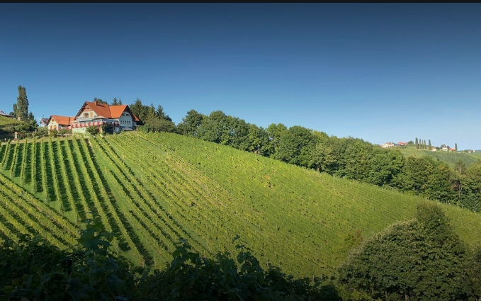 Leutschach an der Weinstrasse