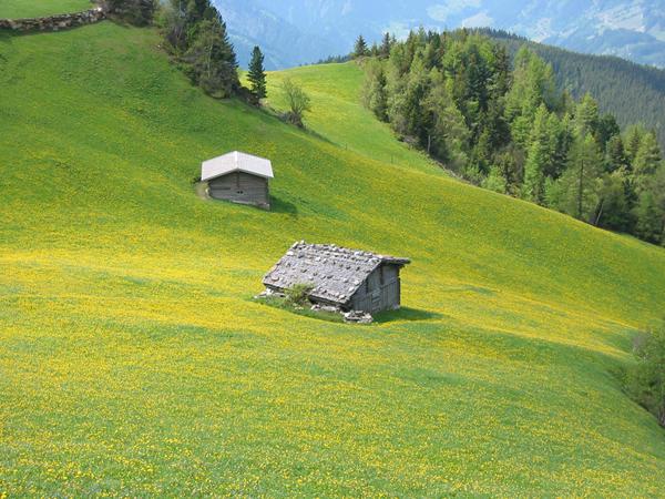 Foto van Hart im Zillertal