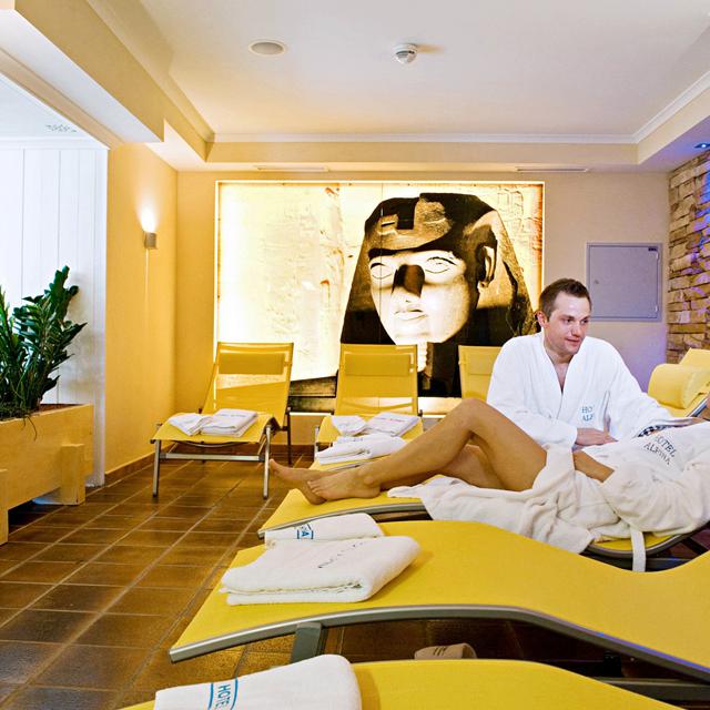 Hotel Alpina - Afbeelding 7