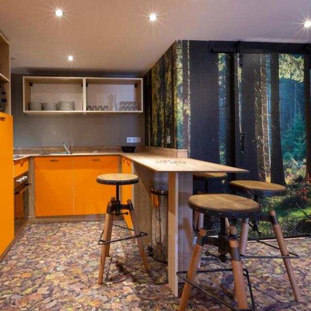 Base Camp Lodge in Bourg Saint Maurice - foto 11
